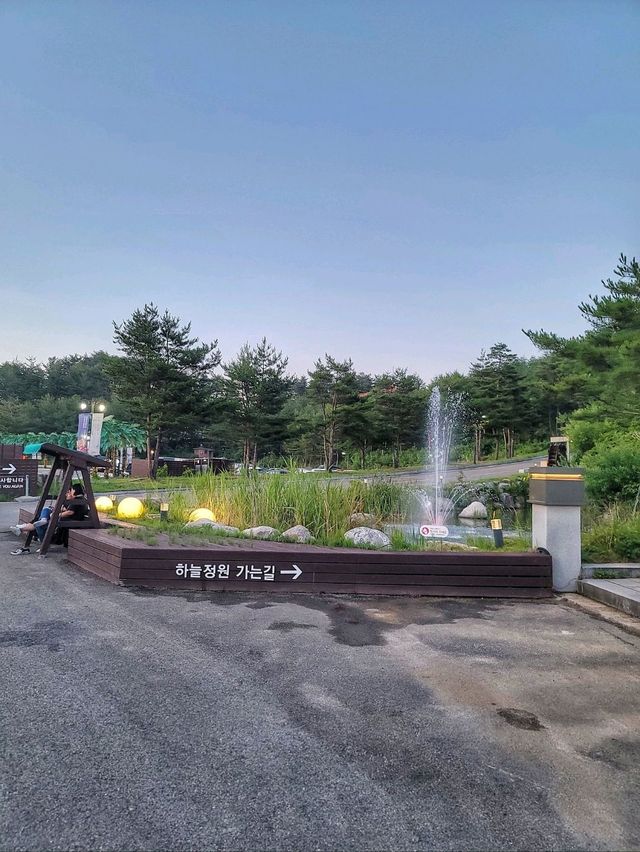 양양 더앤리조트 부대시설🏝