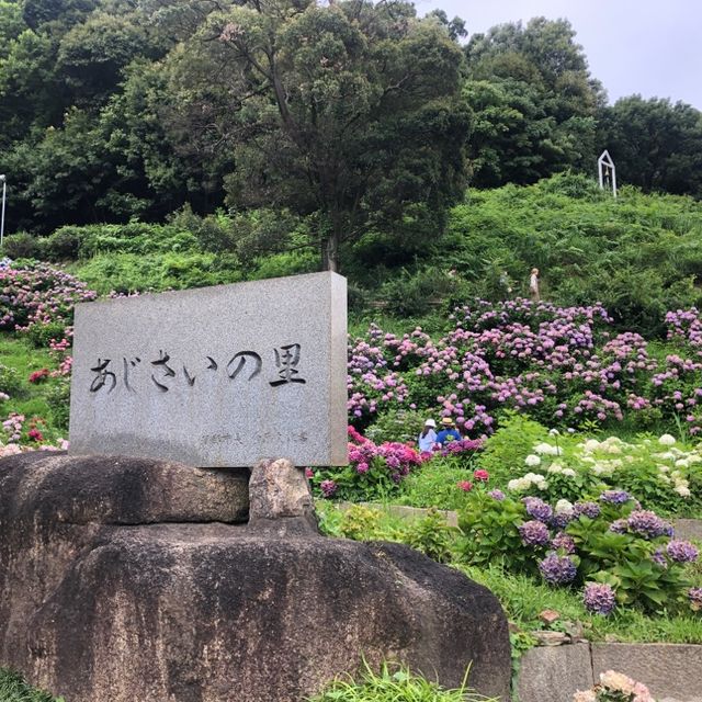 愛知県蒲郡市“あじさいの里”