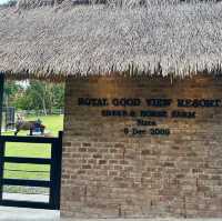 🐎Royal Good View Resort 🐑 (มื้อเย็นแสนอร่อย)