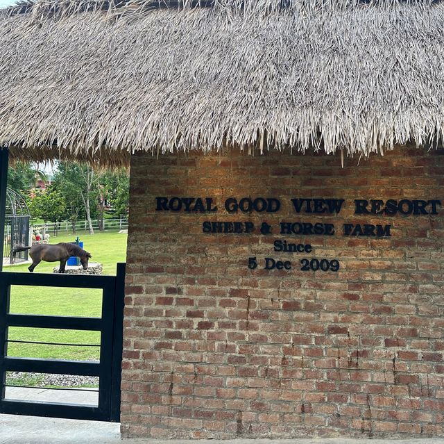 🐎Royal Good View Resort 🐑 (มื้อเย็นแสนอร่อย)