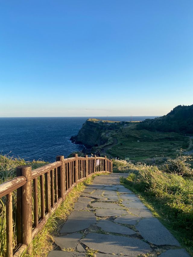서귀포에서 걷기좋은 송악산 둘레길💚