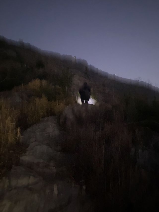 【兵庫】高御座山