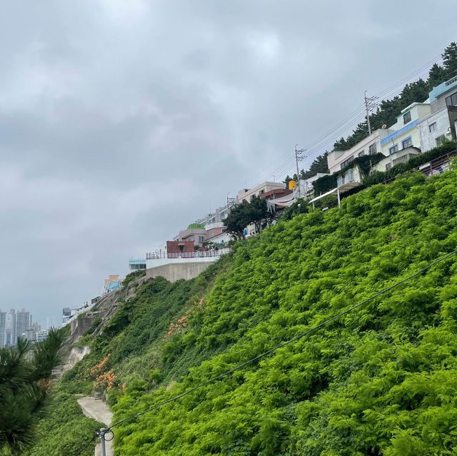 몽돌이 인상적인 해변 🏝️ 흰여울 해변