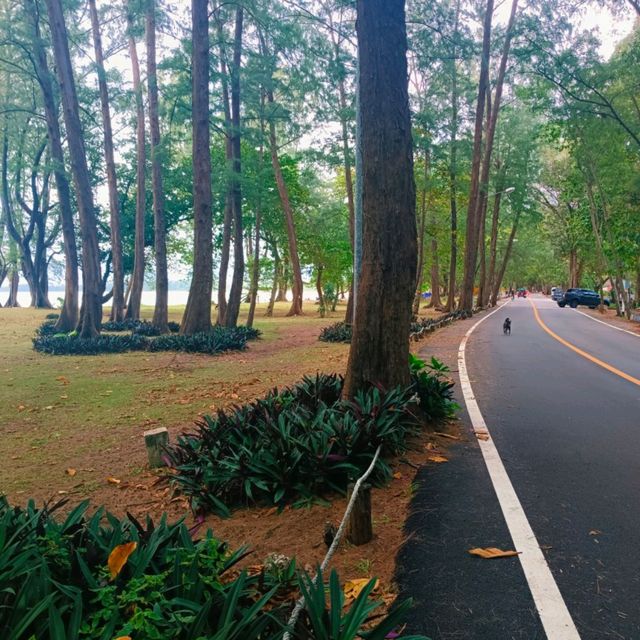 Naiyang Beach 🏖️ Phuket 