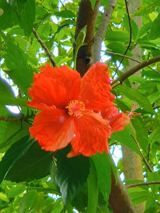 침사추이역 도심속 공원🌳