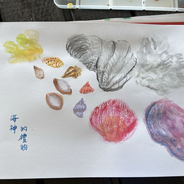桶盤嶼秘境 退潮後才出現的蓮花座