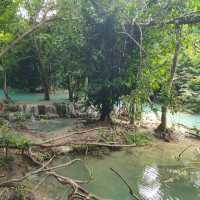 สวนรุกขชาติวังก้านเหลือง