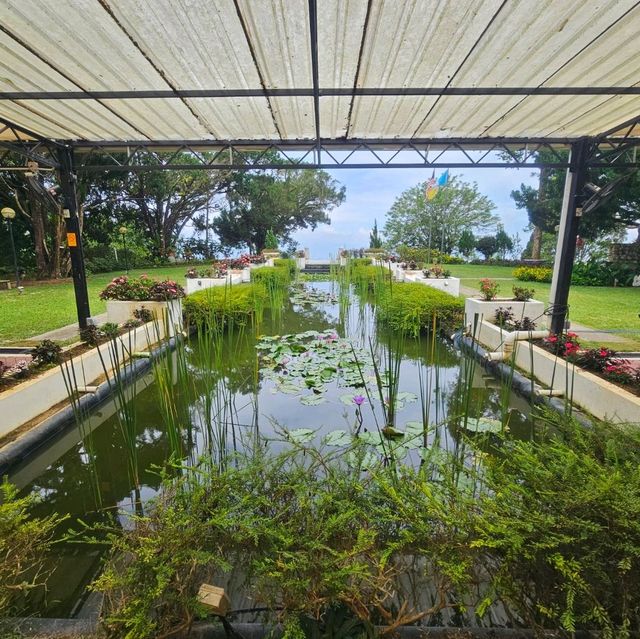 Afternoon Hi-Tea at David Brown's Mansion