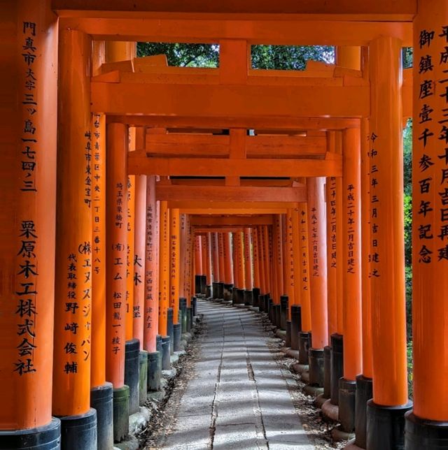 ⛩️ The spectacular Torii Gate experience ⛩️