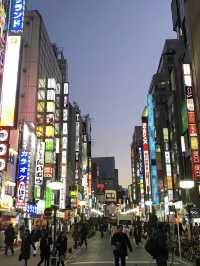 เมืองที่ไม่เคยหลับไหล Shinjuku, Tokyo