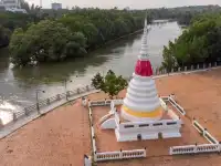 สะพานป่าชายเลน ระยอง