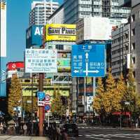 Akihabara Electric Town 🇯🇵