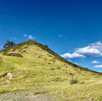 Mahinepua Magic: Nature's Symphony Beckons