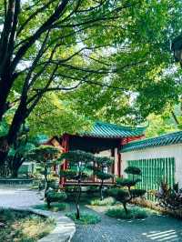 【2024】深圳錦繡園：花海仙境，尋找生命驚喜！