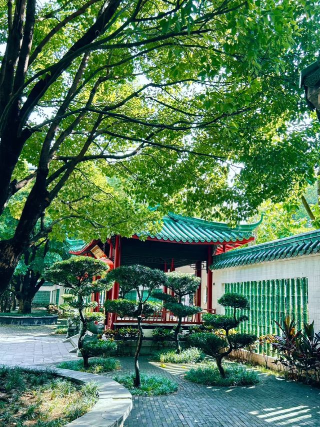 【2024】深圳錦繡園：花海仙境，尋找生命驚喜！