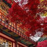 古色古香～譚公廟 