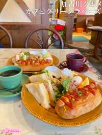 引越して新しくなったグリーンラバーズで早速モーニングを食す