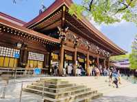 Meiji Jingu Shrine 