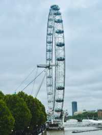 Europe's tallest observation wheel.