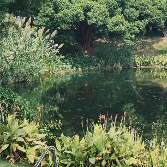 「新加坡難得的市區綠洲：肯特崗公園」