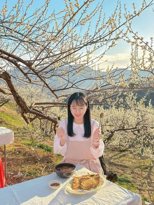 봄을 여는 광양 매화마을의 아침🌸💖