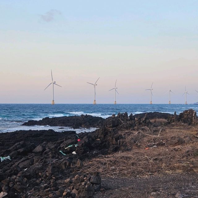 Windfarm Park at Aewol, Jeju