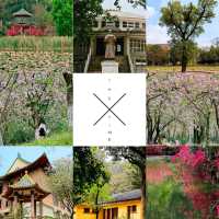 孫中山紀念館：歷史與自然完美融合