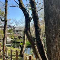 【深大寺そばが有名★】深大寺