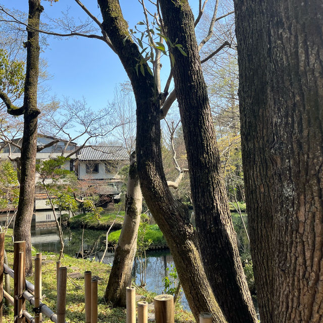 【深大寺そばが有名★】深大寺