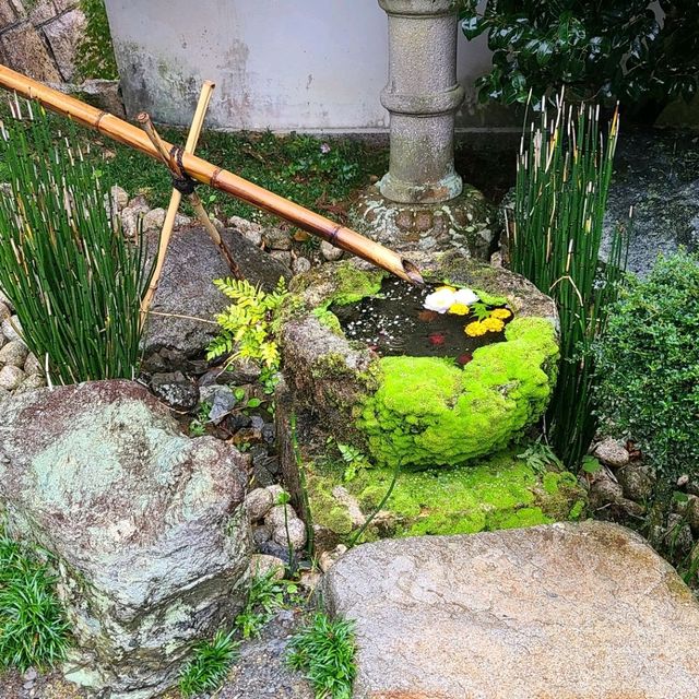 京都花手水発祥のお寺⭐柳谷観音楊谷寺⭐