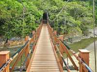 Penang National Park 