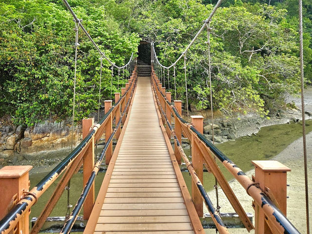 Penang National Park 