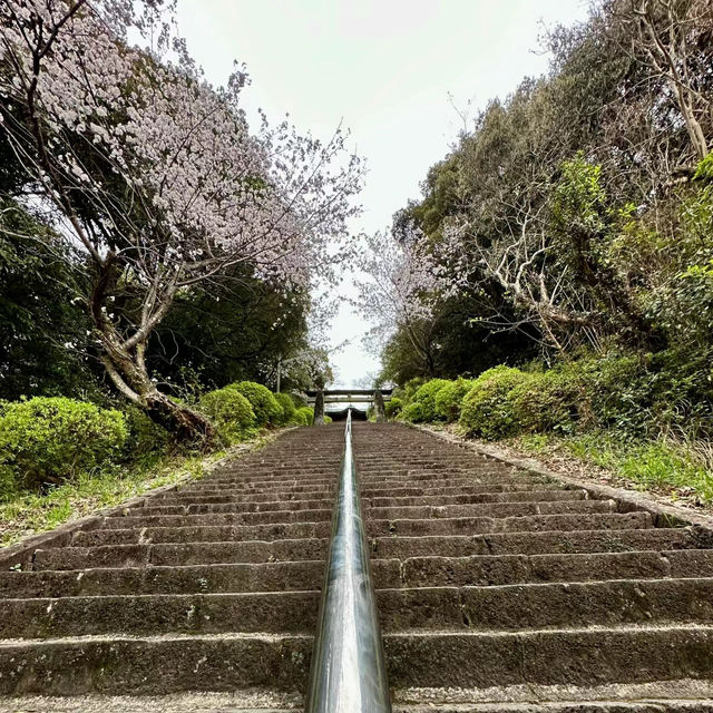 警固神社：漫步賞花