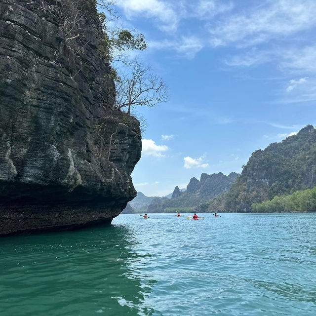 Kayak Through Paradise: Langkawi Mangrove