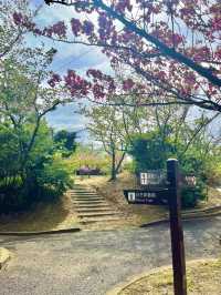 【島根　松江】登録有形文化財の灯台