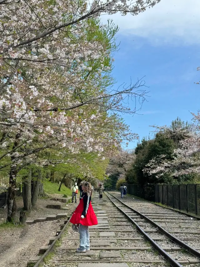 【京都賞櫻名勝】蹴上傾斜鐵道