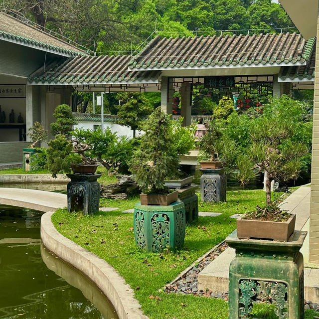 台北光信公園：城市綠洲中的和諧與活力 🌳🌞