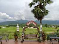 Rice Field View in Nan