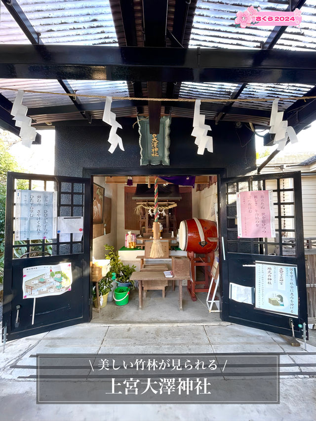 【上宮大澤神社/東京都】美しい竹林が見られる