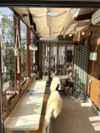 【福岡カフェ】どの部屋で食べるか迷ってしまう？緑に囲まれたガーデンカフェ🌿