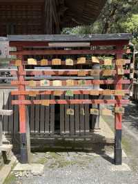 【拝島日吉神社/東京都】カラフルな色彩の本殿彫刻が必見！
