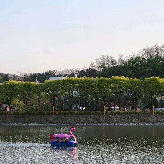 봄바람 가득, 춘천 공지천에서 만나는 4월의 마법 🌸🍃