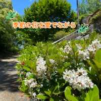 愛知県東海市　「聚楽園(しゅうらくえん）」の大仏
