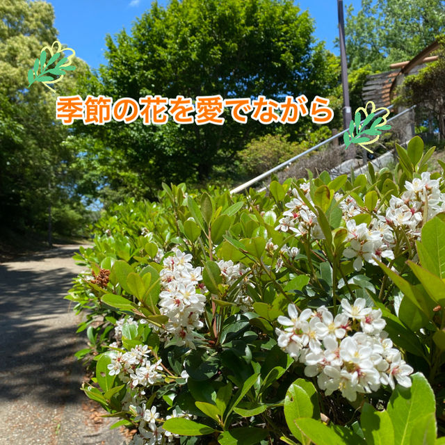 愛知県東海市　「聚楽園(しゅうらくえん）」の大仏