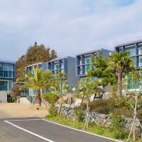 멀리 한라산과 감귤밭이 보이는 고즈넉한 제주 펜션 - 돈내코 펜션