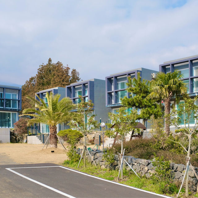 멀리 한라산과 감귤밭이 보이는 고즈넉한 제주 펜션 - 돈내코 펜션