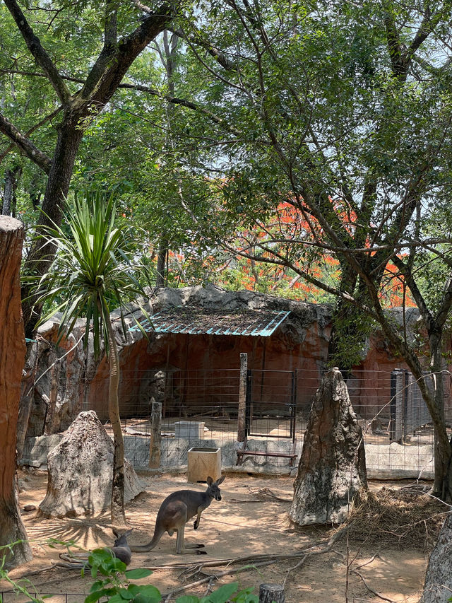 ไปดูสัตว์ที่สวนสัตว์เชียงใหม่