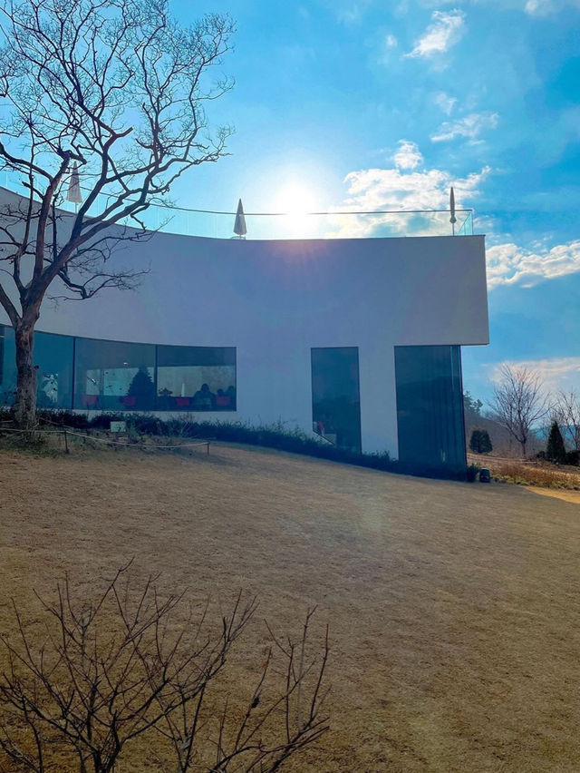 🌿청도 소우모우 카페💚 