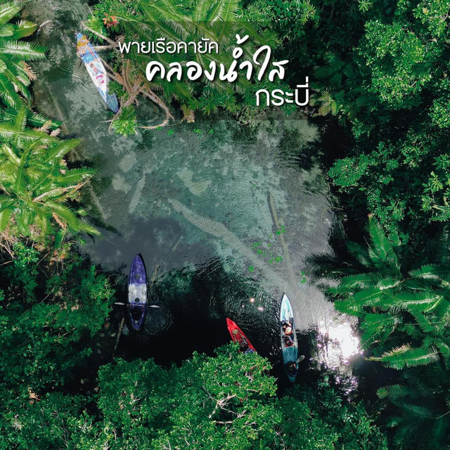 เที่ยวคลองน้ำใส พายเรือคายัค สัมผัสธรรมชาติ
