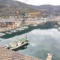 【広島】